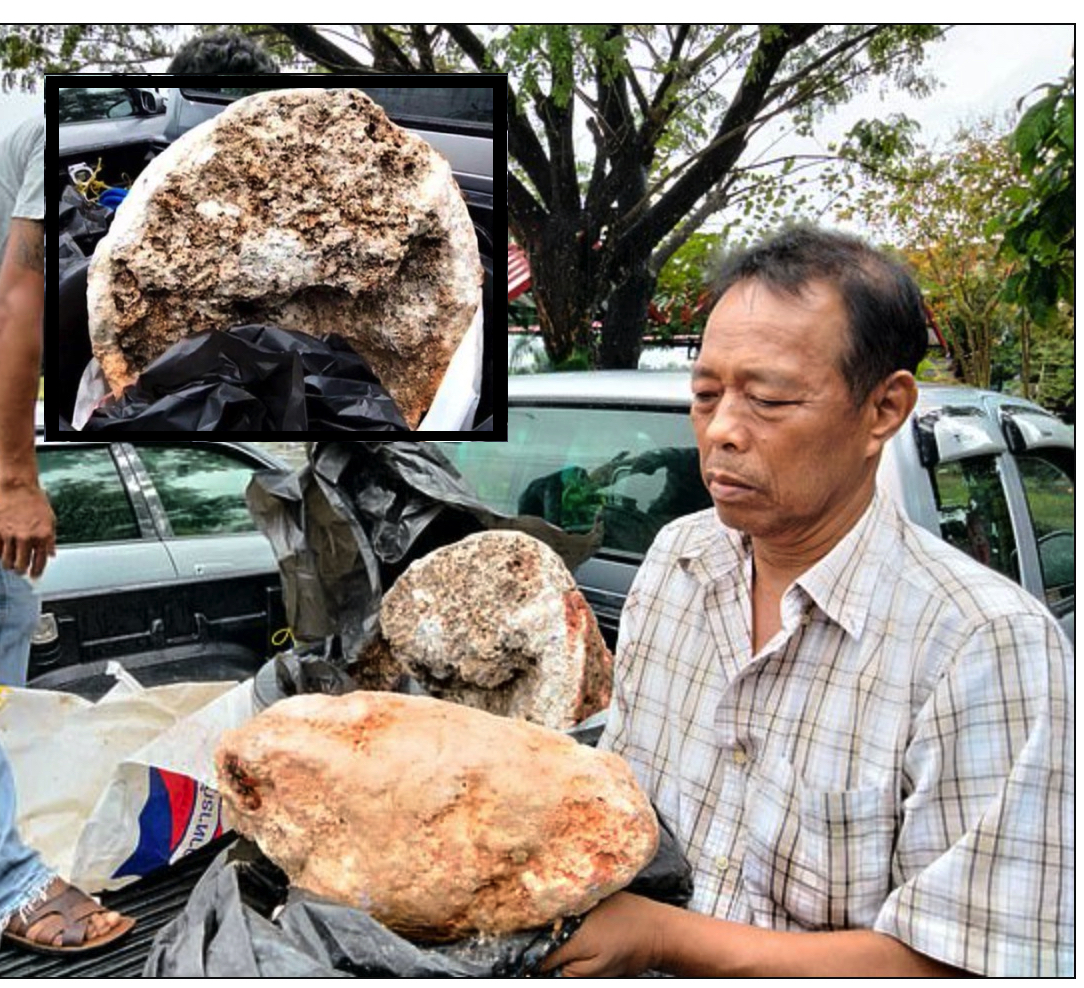 nangtime.com - Lelaki Nelayan Menemui Batu Ambergris Paling Berat Dalam Sejarah, Bernilai RM13 Juta