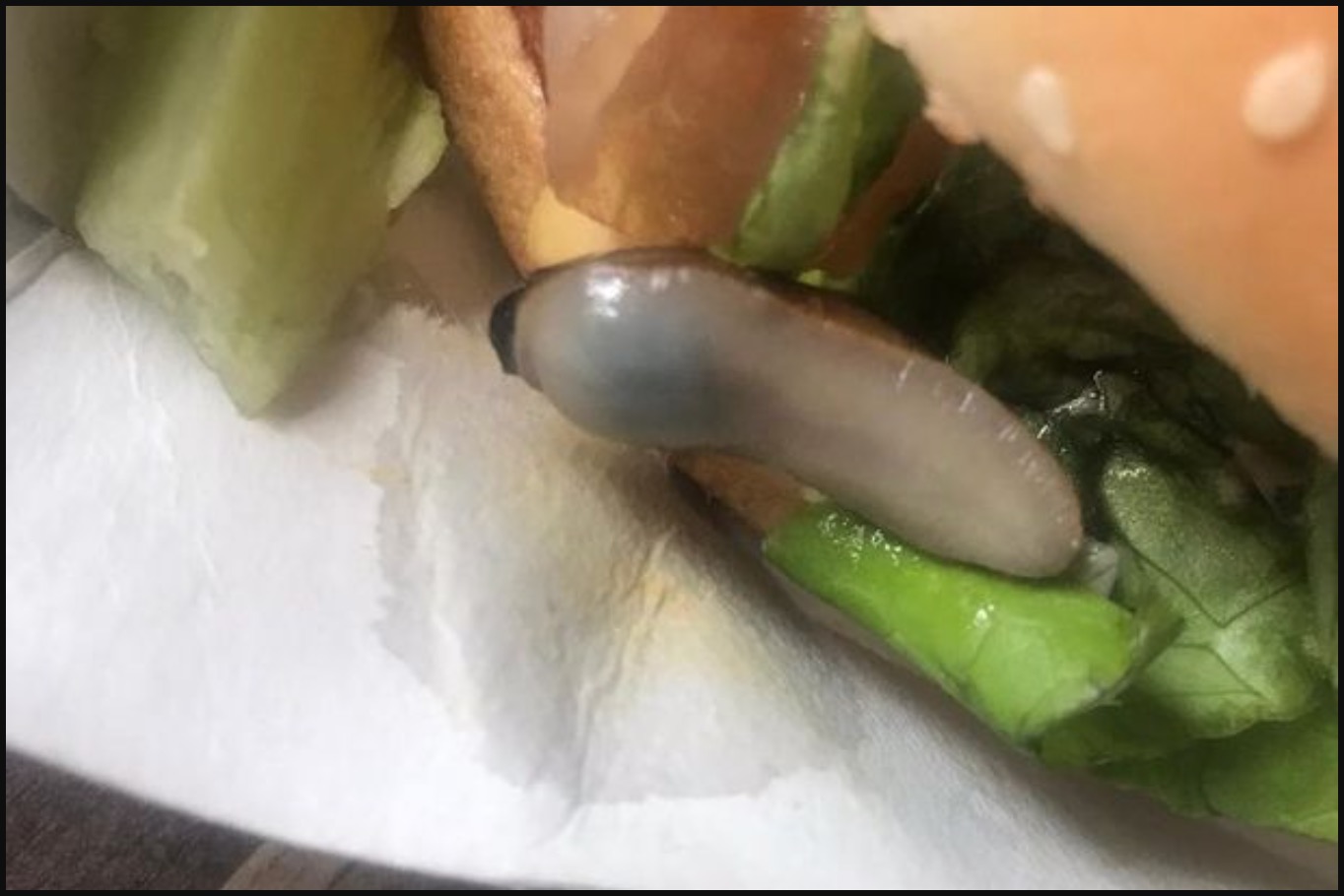 ‘Tapau’ Burger Di Restoran Makanan Segera Terkenal, Pelanggan Terkejut Jumpa Lintah Dalam Isi Burger