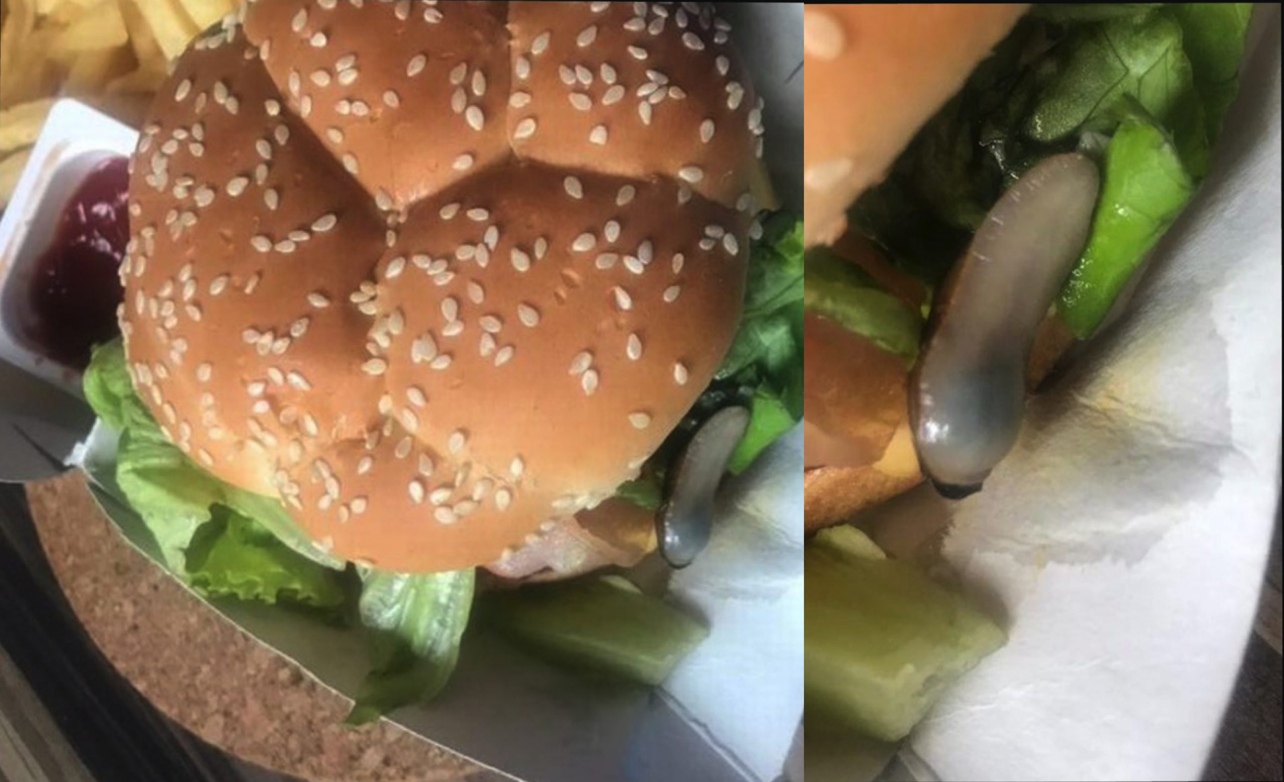 ‘Tapau’ Burger Di Restoran Makanan Segera Terkenal, Pelanggan Terkejut Jumpa Lintah Dalam Isi Burger