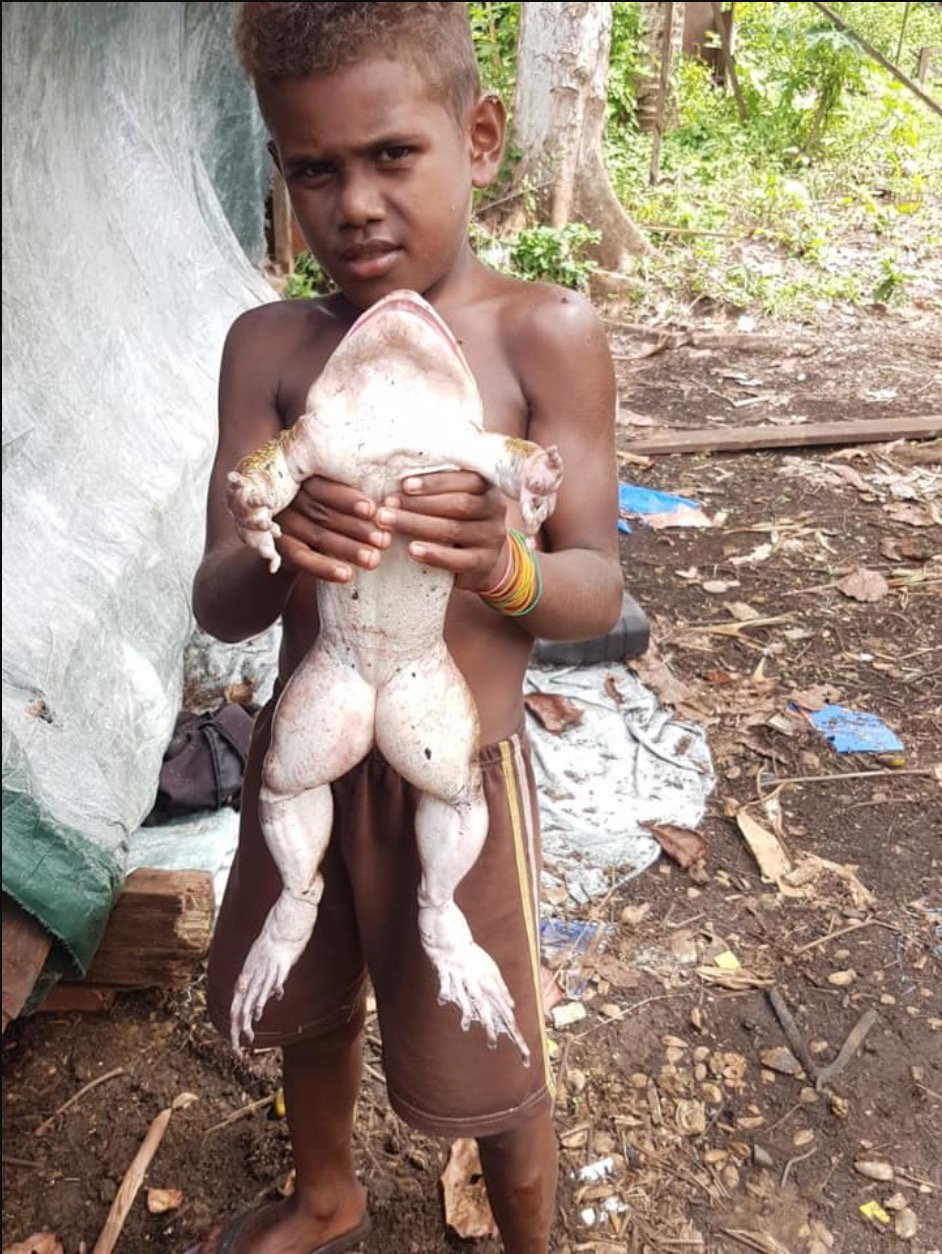 Lelaki Terkejut Jumpa Katak Sebesar Bayi Manusia, Penduduk Kampung Kata Katak Ini Lagi Sedap Dari Ayam