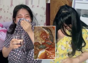 Dah Nak Habis Dimakan, Gadis Yang Tadinya Berselera Makan Bertukar Trauma Selepas Terjumpa Bangkai Cicak Dalam Sambal