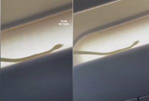 Ular Dalam Pesawat, Penerbangan Pesawat Dari KL Ke Tawau Terpaksa Dilencongkan ke Kuchnig - nangtime.com
