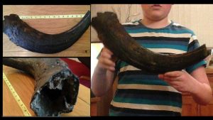 Diketawakan Bapanya Kerana Anggap ‘Kayu Buruk’ Sebagai Harta Karun, Budak Lelaki Terkejut Muzium Tawarkan 3 juta Untuk ‘Kayu’ Itu - nangtime.com