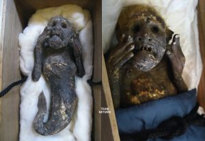 Mumia ‘Duyung’ Berusia Ratusan Tahun Akan Dikaji Sekumpulan Saintis Jepun - nangtime.com