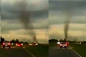 Kejadian Menggerunkan, Jutaan Nyamuk Berterbangan Di Udara Membentuk Puting Beliung Nyamuk